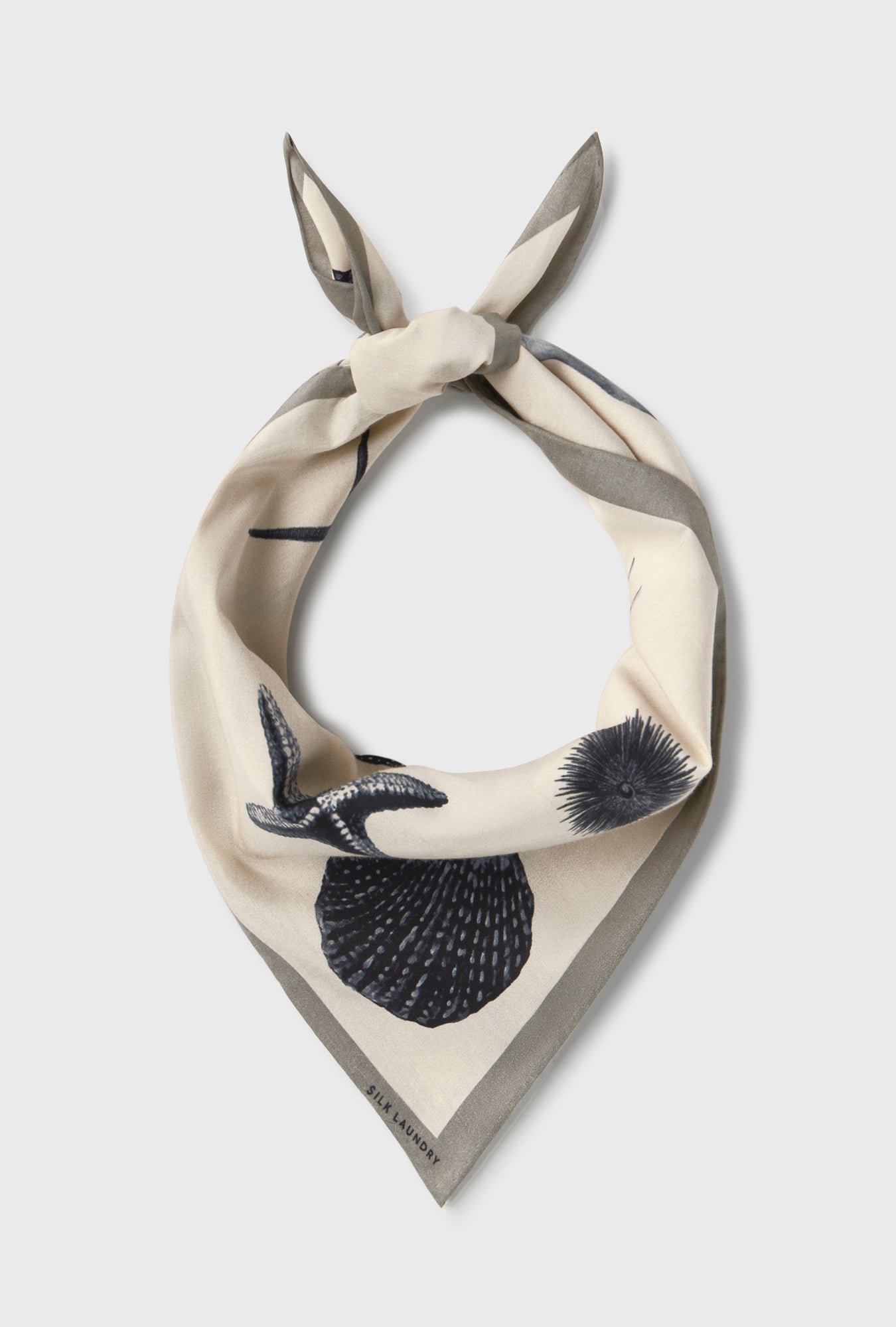 COTTON SILK SCARF SEASHELLS